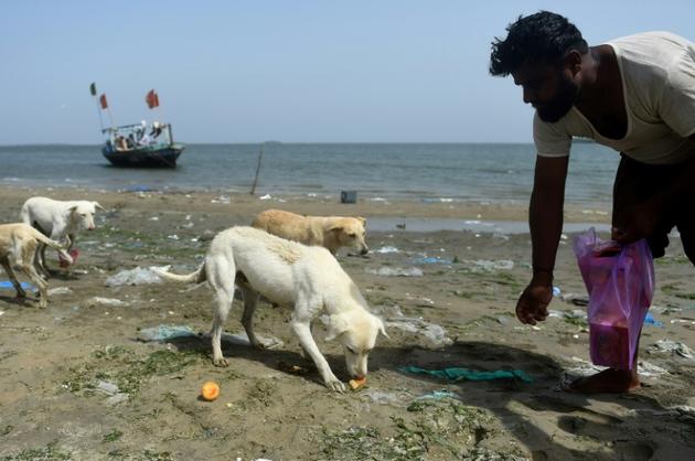 Un pêcheur pakistanais nourrit des chiens errants sur une île à Karachi, le 3 avril 2018<br />
 [RIZWAN TABASSUM / AFP/Archives]