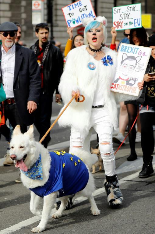 Des propriétaires de chiens manifestent avec leurs animaux le 7 octobre 2018 à Londres contre le Brexit<br />
 [Tolga AKMEN / AFP]