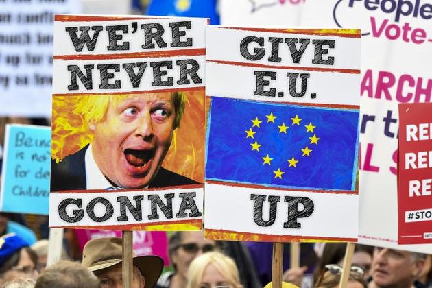 Des manifestants agitant des pancartes hostiles au Brexit, à Londres le 19 octobre 2019<br />
 [Niklas HALLE'N / AFP]