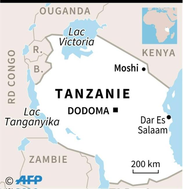Tanzanie [JM.Cornu/A.Bommenel / AFP]