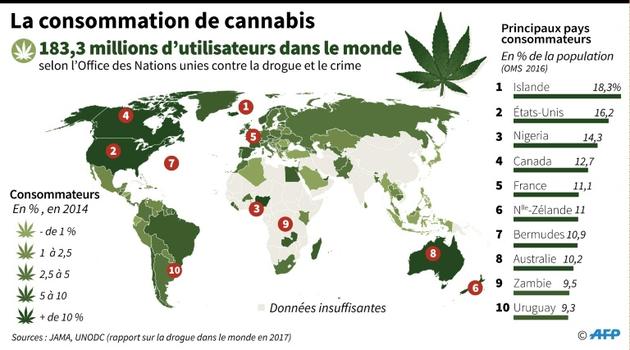 La consommation de cannabis [John SAEKI, Laurence CHU, Adrian LEUNG / AFP]