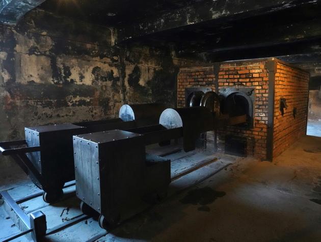 Les fours crématoires du camp d'extermination d'Auschwitz, en décembre 2019 [JANEK SKARZYNSKI / AFP/Archives]