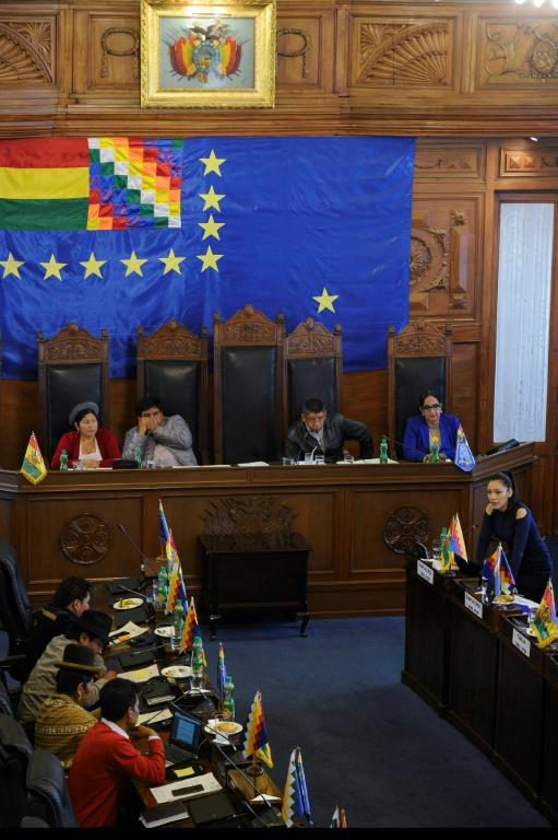 Les sénateurs boliviens réunis le 23 novembre 2019 à La Paz [JORGE BERNAL / AFP]