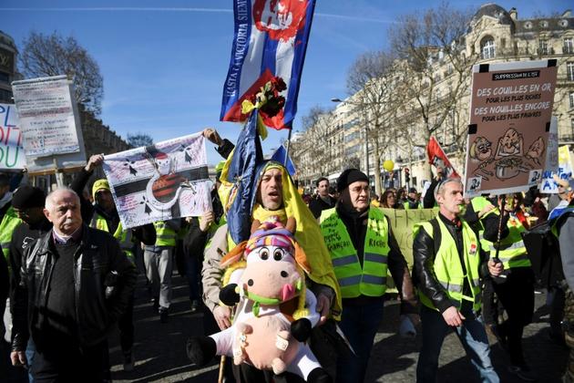 Nouvelle mobilisation de "gilets jaunes", le 17 février 2019 sur les Champs-Elysées à Paris  [ERIC FEFERBERG / AFP]