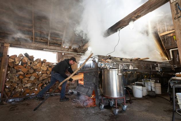 Un atelier du producteur de sirop d'érable Constantin Grégoire à Saint-Esprit (Québec). Photo prise le 31 mars 2020 [Benedicte Brocard / AFP]