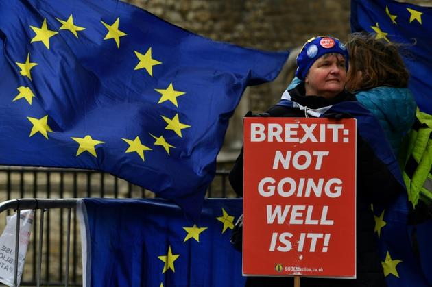 Une manifestante anti-Brexit devant le Parlement à Londres, le 13 mars 2019 [Ben STANSALL / AFP]