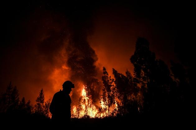Incendie de forêt à Macao au Portugal le 21 juillet 2019 [PATRICIA DE MELO MOREIRA / AFP/Archives]