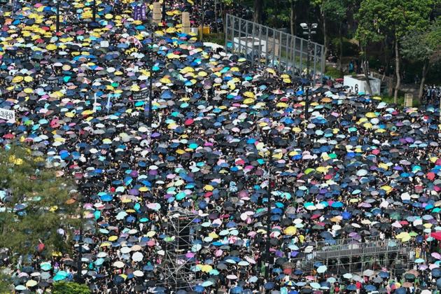 Des manifestants anti-gouvernementaux à Hong Kong, le 21 juillet 2019 [Anthony WALLACE / AFP]