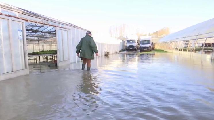 Inondations : le témoignage d'un horticulteur