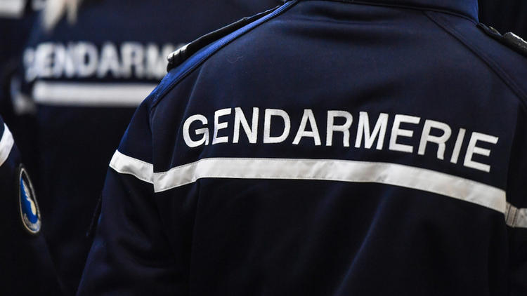 Les gendarmes du Gard viennent de démanteler un réseau d’arnaques aux petites annonces. 