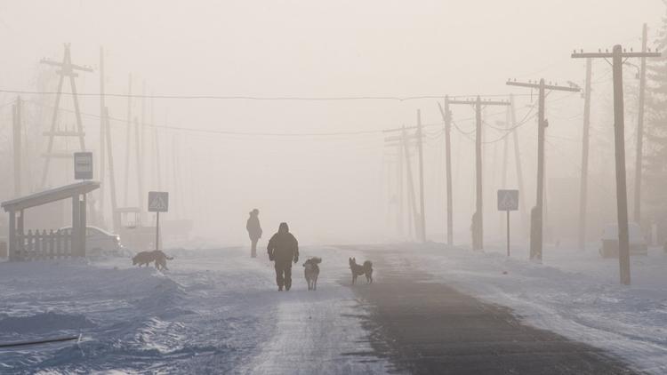Les températures grimpent en Sibérie