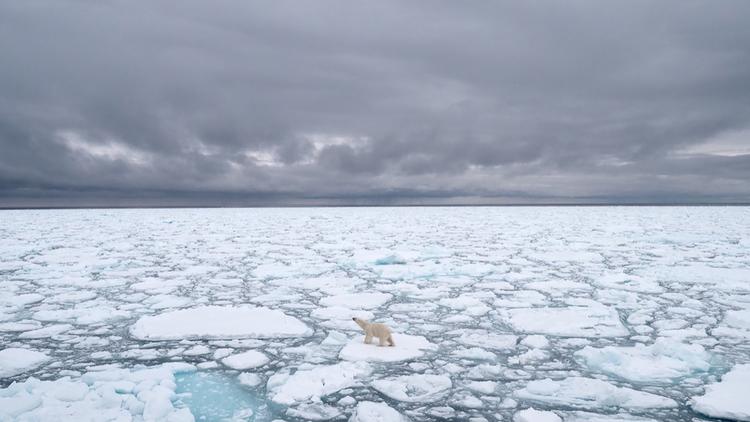 La mer au large de la Sibérie n'a pas encore recommencé à geler. 