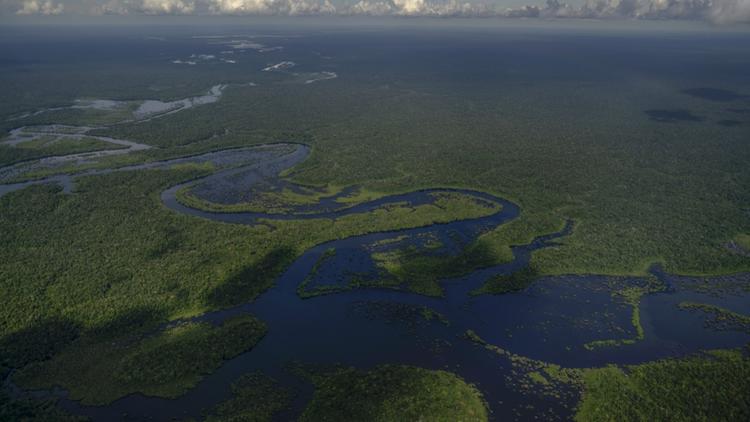 La destruction de la plus grande forêt tropicale du monde continue, même si elle a diminué en juillet 2022. [Mauro PIMENTEL / AFP]