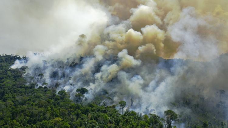 La déforestation en Amazonie a augmenté de 59,5% au cours des quatre années où le président brésilien d’extrême droite Jair Bolsonaro était au pouvoir