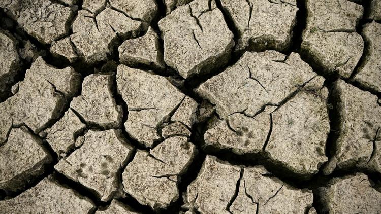 Cette situation inquiète, car après l'année 2022, la plus chaude jamais enregistrée en France selon Météo France, la biodiversité pourrait avoir du mal à se remettre d'une sècheresse à rallonge.