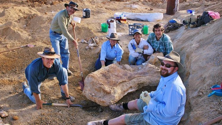 Les fossiles de l'Australotitan cooperensis avaient été découverts en 2006. 