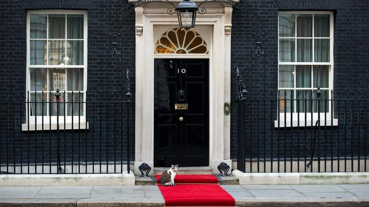 Le chat de Downing Street, Larry, a attrapé une souris, ont triomphalement annoncé mardi les services du Premier ministre britannique David Cameron, l'animal étant connu pour faire preuve d'une certaine paresse depuis son embauche l'année dernière.[AFP]