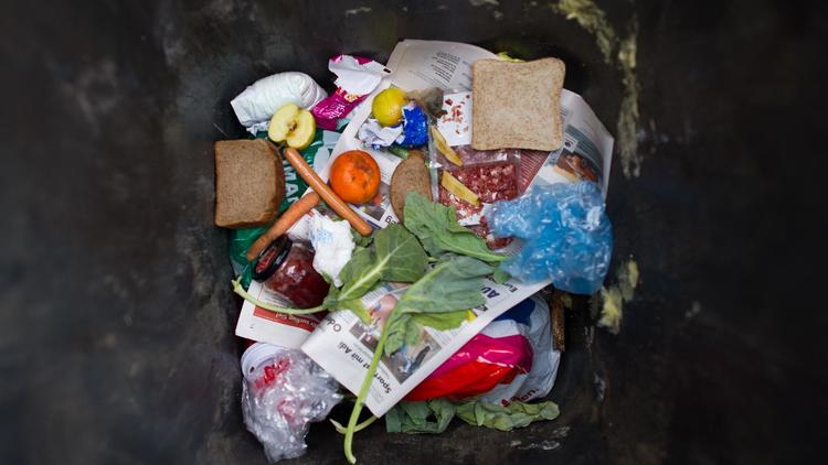 Des déchets alimentaires au fond d'une poubelle [Patrick Pleul / DPA/AFP/Archives]
