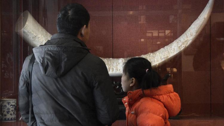 Des passants regardent la vitrine d'un magasin à Pékin ou est à vendre une défense d'éléphant africain scultée, le 20 février 2013 [Wang Zhao / AFP/Archives]