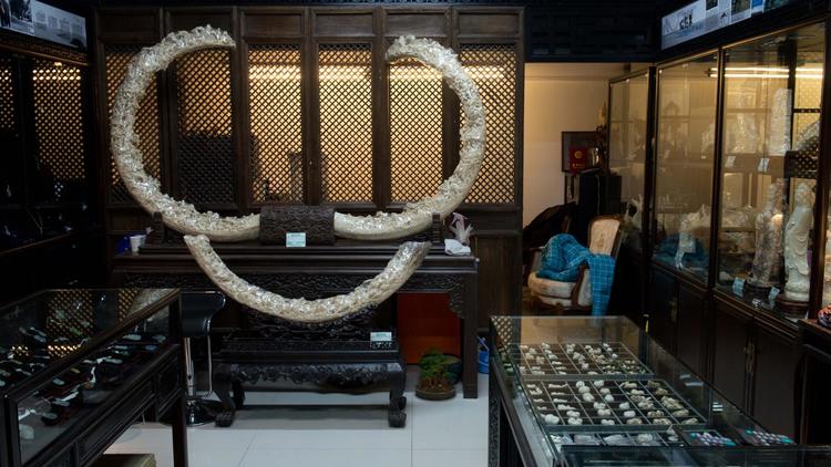 Des pièces en ivoire dans une boutique de Pékin, le 27 février 2013 [ / AFP/Archives]