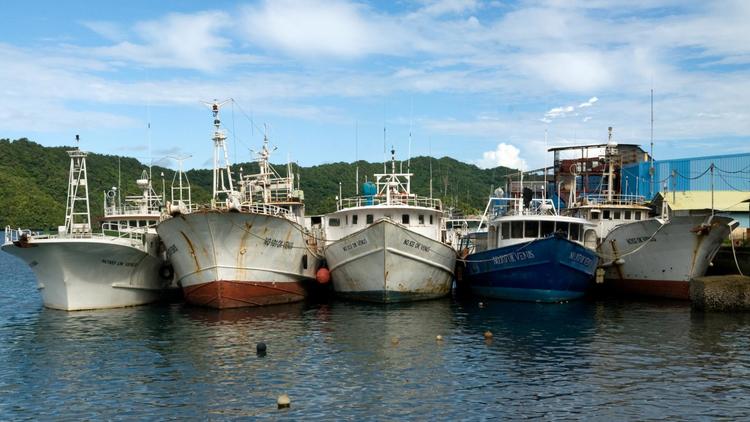 Des bateaux de pêche dans le port Malakal, dan sl'archipel de Palau [Richard W. Brooks / AFP/Archives]
