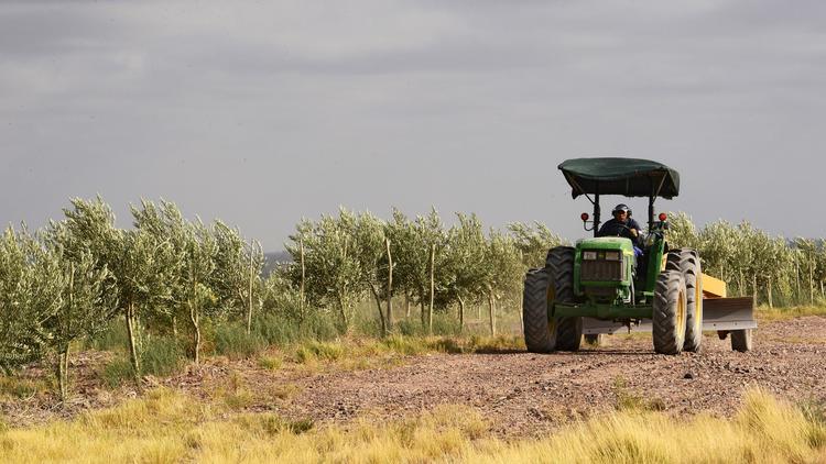 Un tracteur dans un champ [Daniel Garcia / AFP/Archives]