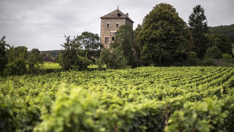 L'investisseur chinois qui a provoqué l'émoi en Bourgogne (est de la France) en s'offrant le château de Gevrey-Chambertin est un passionné de vin, ne nourrissant d'autre ambition que de redonner aux vignes leur "ancienne gloire", assurent ses amis et des spécialistes.[AFP]