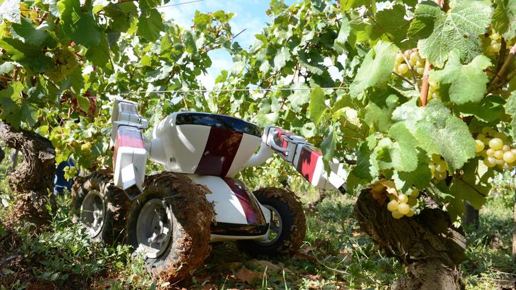 Le robot vigneron Wall-Ye V.I.N, le 13 septembre 2012 à Chalon-sur-Saone [Philippe Desmazes / AFP]