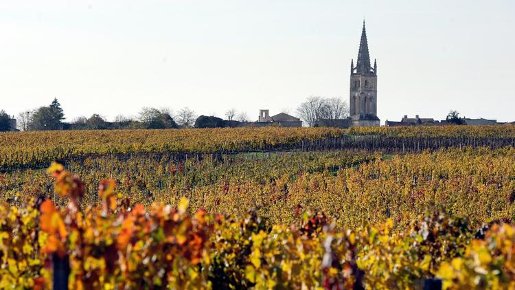 Un vignoble de Saint-Emilion près de Bordeaux [Jean-Pierre Muller / AFP/Archives]