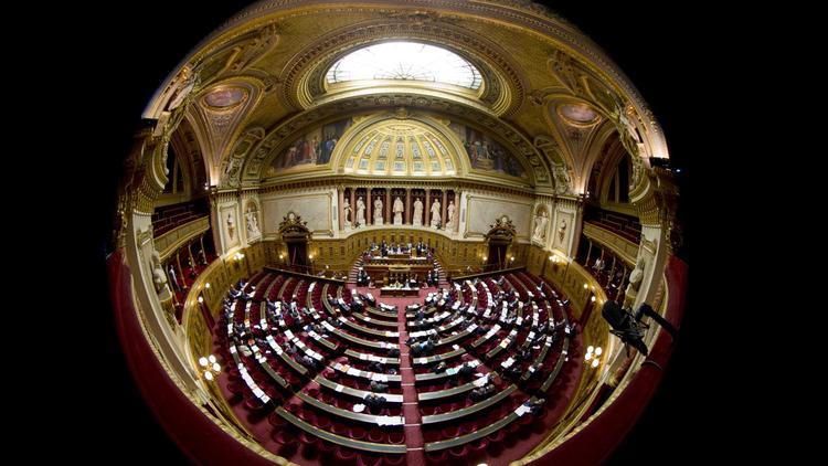 L'hémicycle du sénat à Paris [Joel Saget / AFP/Archives]