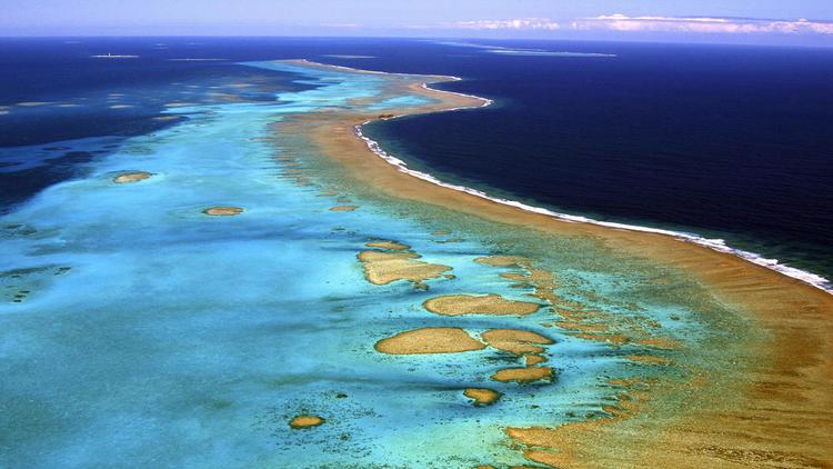 Les pays insulaires du Pacifique cherchent en commun des solutions pratiques pour s'adapter aux conséquences du réchauffement climatique auquel ils sont fortement exposés, ont-ils indiqué vendredi lors d'une conférence régionale à Nouméa (Nouvelle-Calédonie). [AFP]