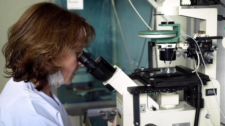 Une chercheuse devant un microscope