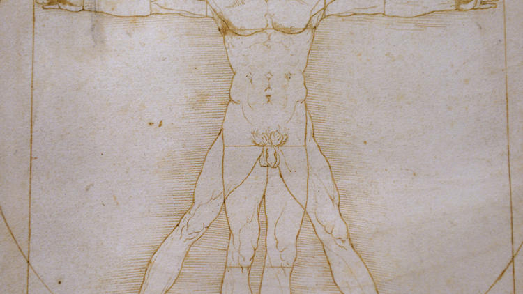 L'«Homme de Vitruve» aurait été dessiné vers 1490.