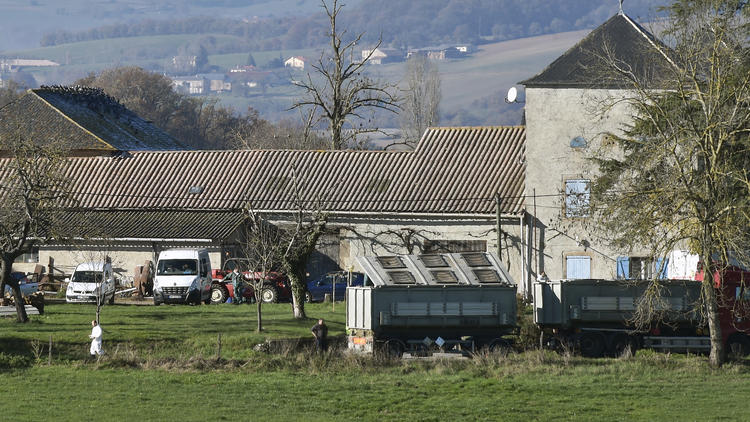 Un élevage de canards à Almayrac, dans le Tarn, le 2 décembre 2016.