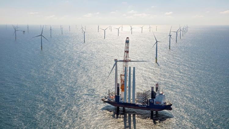 Le parc éolien Gemini en mer du Nord, au large des Pays-Bas, le 3 mai 2017 [- / GEMINI WINDPARK/AFP]