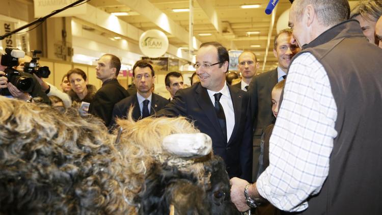 Le président François Hollande au salon de l'agriculture à Paris, le 23 février 2013 [Kenzo Tribouillard / AFP/Archives]