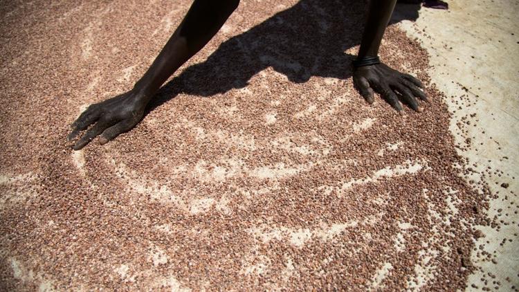 Dans le Soudan du Sud en mai 2017, une femme fait sécher de petites quantités de sorgho [Albert Gonzalez Farran / AFP/Archives]