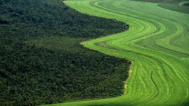 L'agriculture et la déforestation représentent ainsi environ un quart des émissions des gaz à effet de serre.