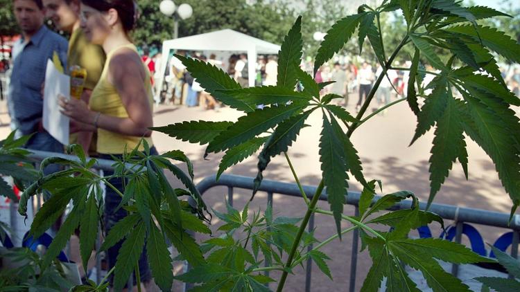Des personnes se renseignent sur le cannabis, le 18 juin 2002 à Lyon [JEAN-PHILIPPE KSIAZEK / AFP/Archives]