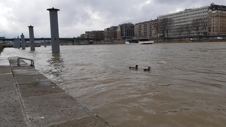 Le niveau de la Seine a atteint 3,27 mètres de hauteur ce mercredi 4 mars. Loin des 6,1 mètres de juin 2016.
