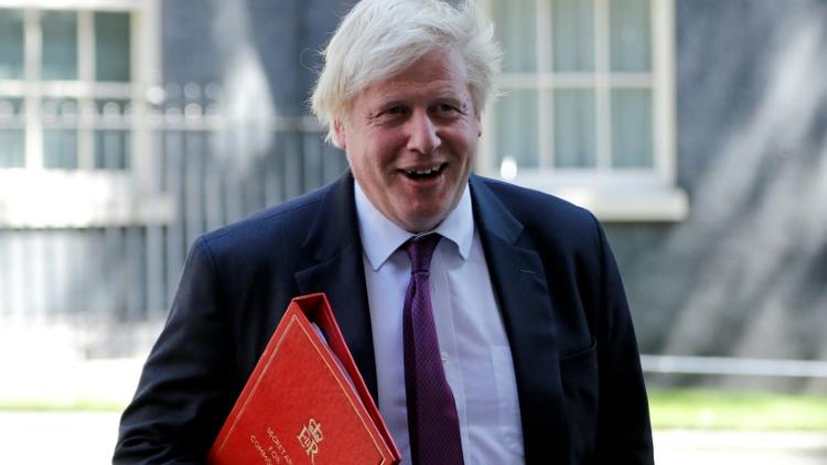 Boris Johnson, le 26 juin 2018 à Londres [Tolga AKMEN / AFP/Archives]