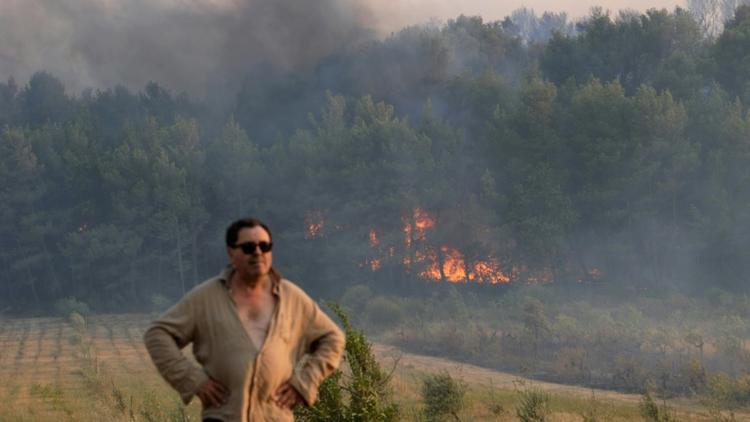 Incendie à Saint-Cannat, dans les Bouches-du-Rhône, le 15 juillet 2017 [Franck PENNANT / AFP]