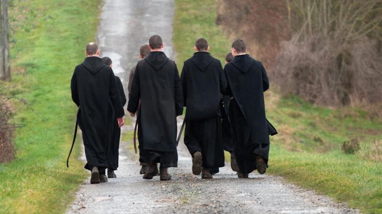 Des moines  [Guillaume Souvant / AFP/Archives]