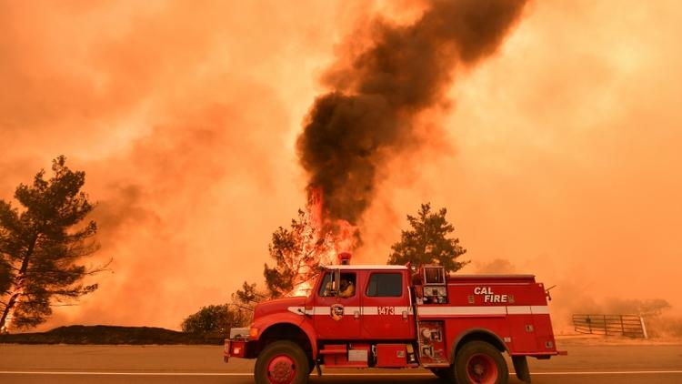 Des pompiers luttent contre un incendie près de Clearlake Oaks, le 1er juillet 2018 en Californie [JOSH EDELSON / AFP]
