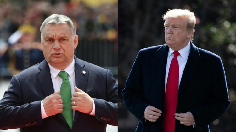 Photomontage du Premier ministre hongrois Viktor Orban et du président américain Donald Trump [Daniel MIHAILESCU, SAUL LOEB / AFP/Archives]