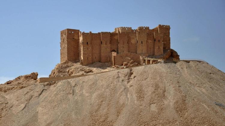 Vue du château antique de la ville de Palmyre en Syrie, le 18 mai 2015 [STR / AFP/Archives]