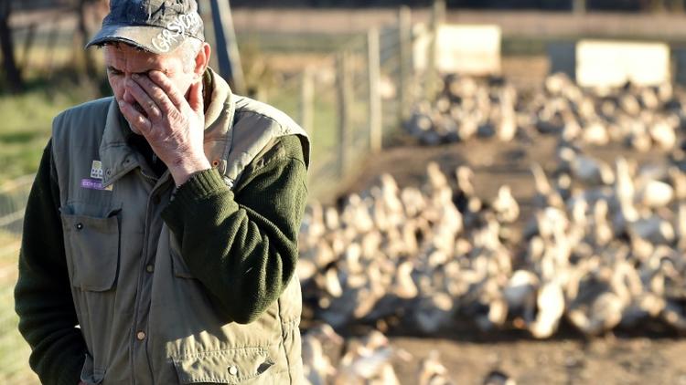 Bernard Dupuy, éleveur de canards, dans sa ferme le 5 janvier 2017 à Bars dans le sud-ouest de la France [REMY GABALDA / AFP]