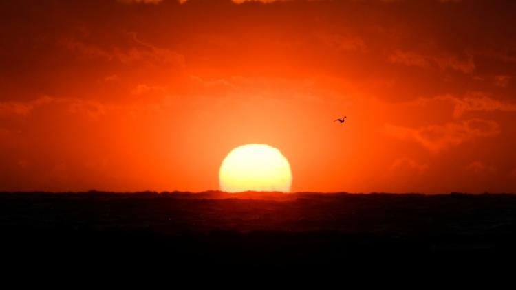 Scruté depuis Galilée, le Soleil n'en reste pas moins un astre mystérieux: de nombreux phénomènes physiques qui s'y déroulent, comme les tempêtes solaires, intriguent toujours les scientifiques [GERARD JULIEN / AFP/Archives]