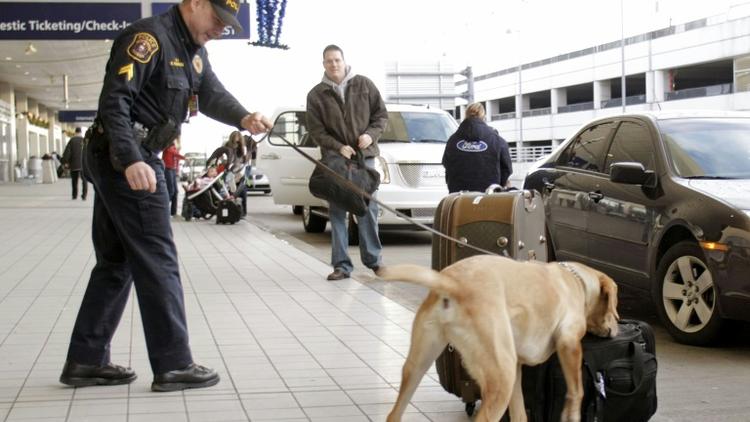 Un chien renifleur à l'aéroport de Detroit, le 26 décembre 2009 [BILL PUGLIANO / GETTY IMAGES NORTH AMERICA/AFP]