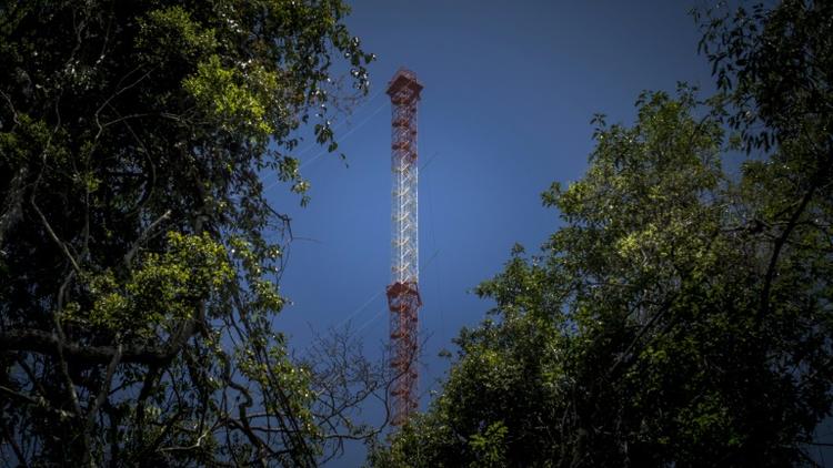 Une structure métallique aussi haute que la Tour Eiffel sert de laboratoire pour étudier le changement climatique au coeur de la forêt amazonienne, le 22 août 2015, jour de son inauguration [RAPHAEL ALVES / AFP]